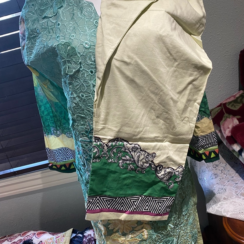 Pakistani Dress - Picture 11 of 12